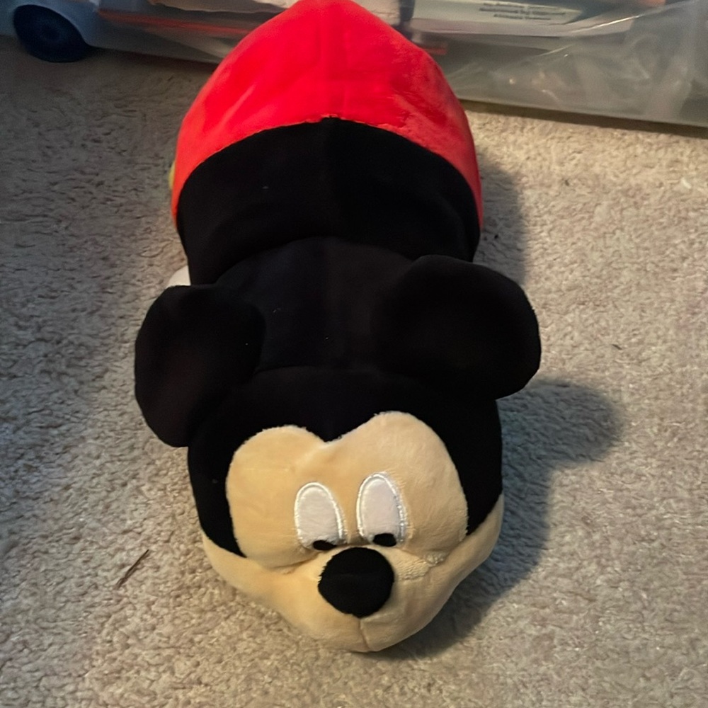 Disney Flipazoo , Minnie and mickey